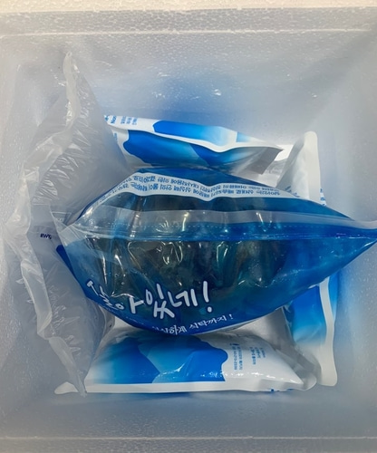 [전남 신안/완도] 패류의 황제 활 전복 1kg/싱싱 산소포장