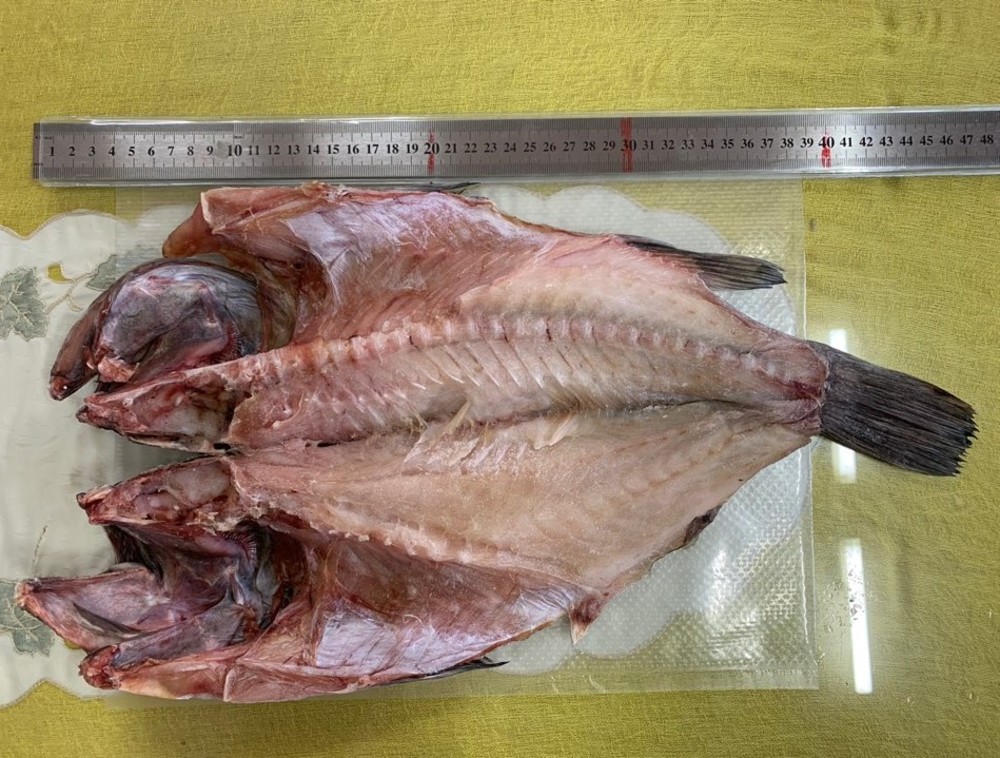 [목포/신안]청정지역 반건조 우럭(조피볼락) 굴비(중대~특대) 제찬/이바지 생선