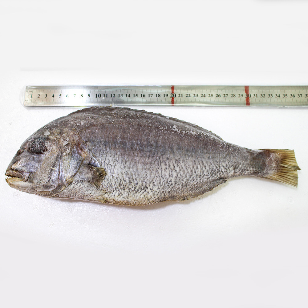 [목포/신안] 청정지역 반건조 참도미 굴비(중대~특대) 제찬/이바지 생선