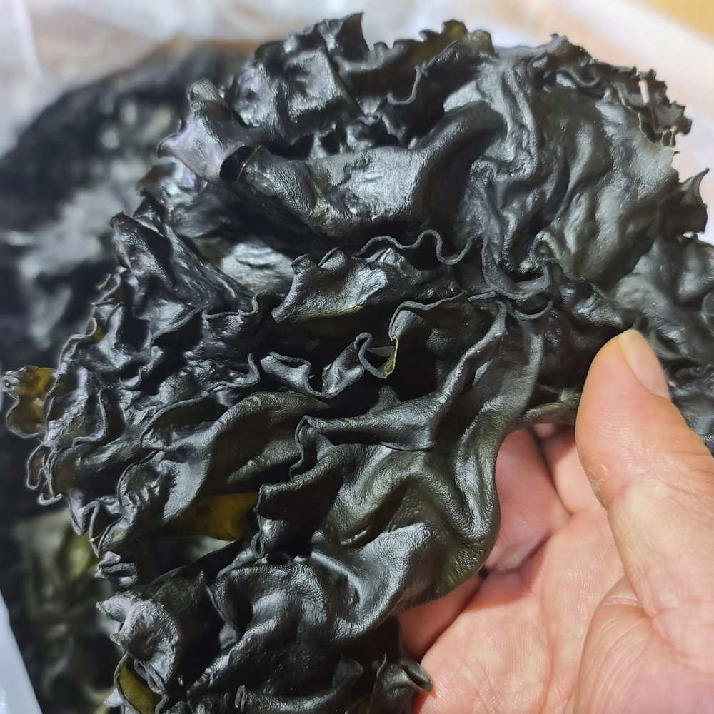 [보배섬 진도 특산] 청정해역 자연산 쫄쫄이 명품 마른 미역(4각)550g/미역귀 1kg-산모용